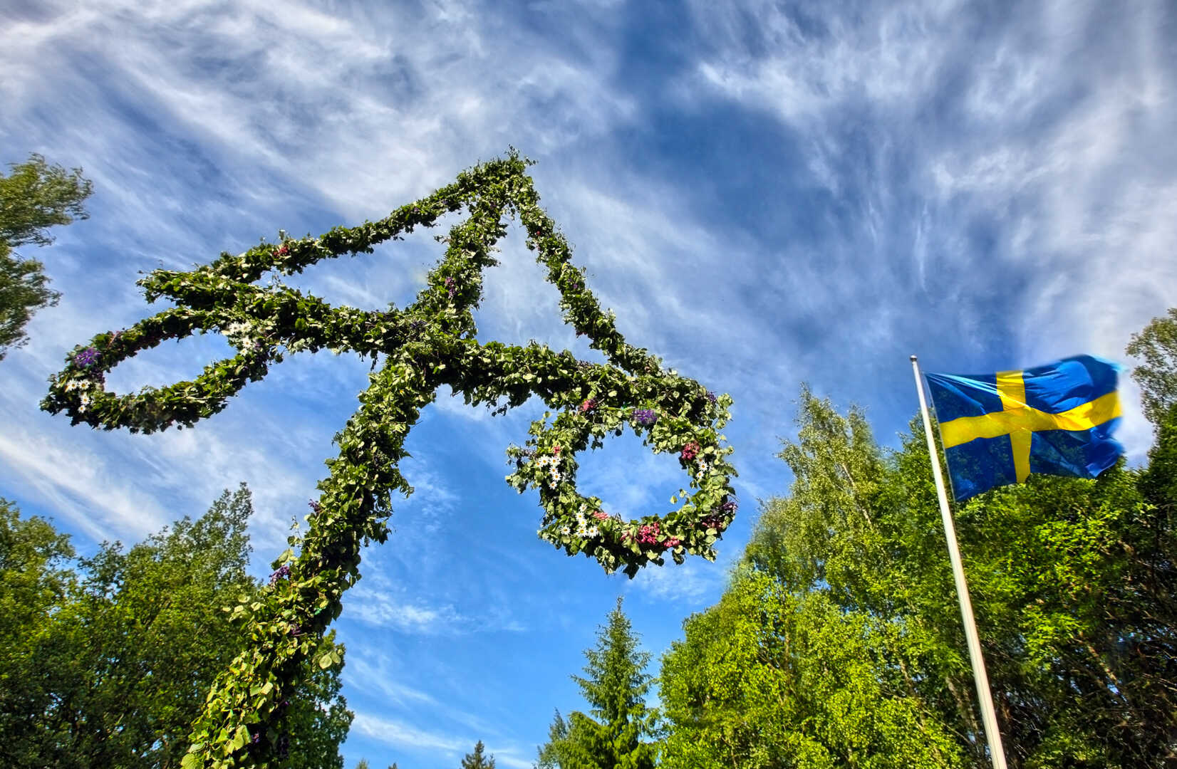 Maistang og det svenske flagget