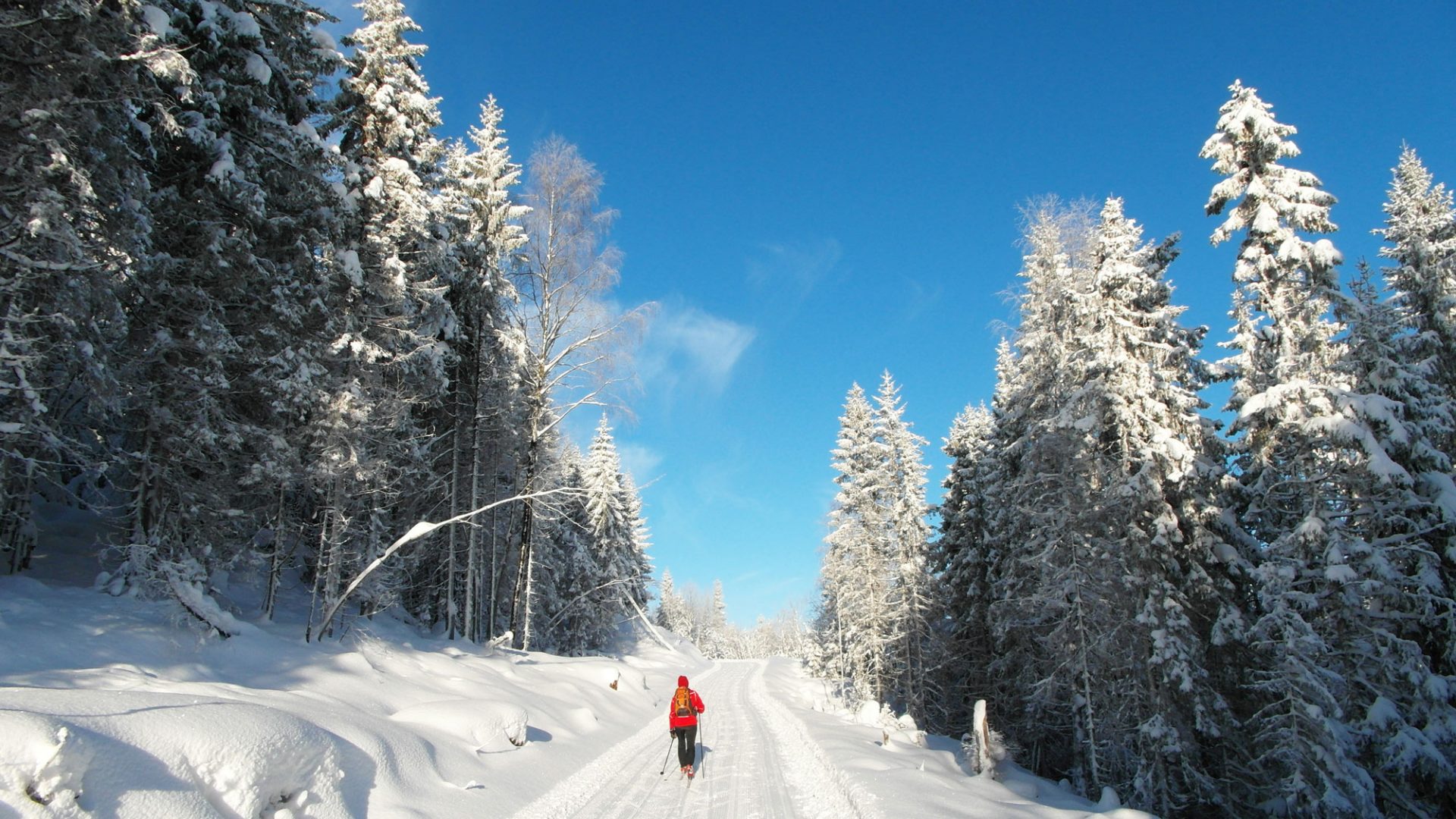 Skitur i marka