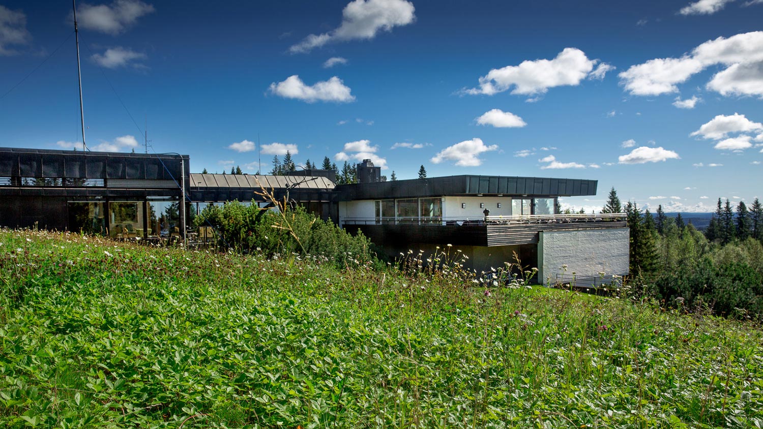 Voksenåsen eksteriør sommer